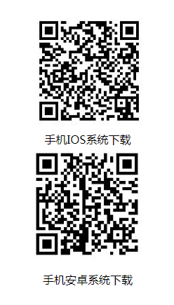 2024年广西成人高考成绩11月20日9:00起可查询