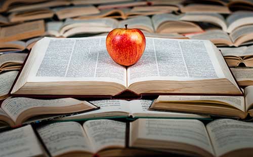 滑县什么时候成人高考报名？怎么选学校的？