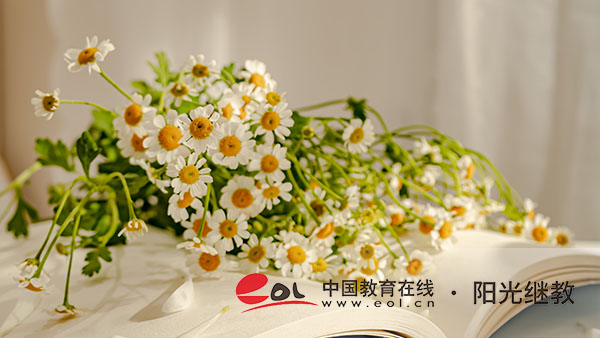 沈阳成人高考培训班怎么找？要做哪些考前准备？