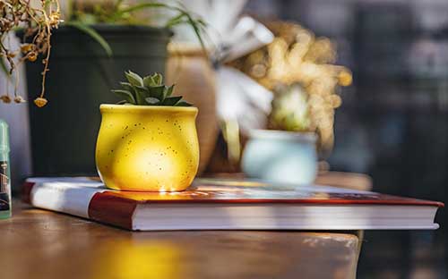 永泰县的自考本科如何报名？需要哪些材料？