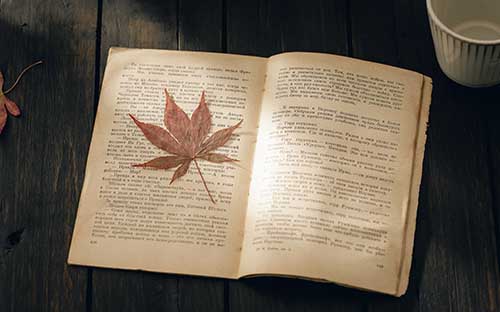自考报名四门课程怎么选择？课程有哪些？