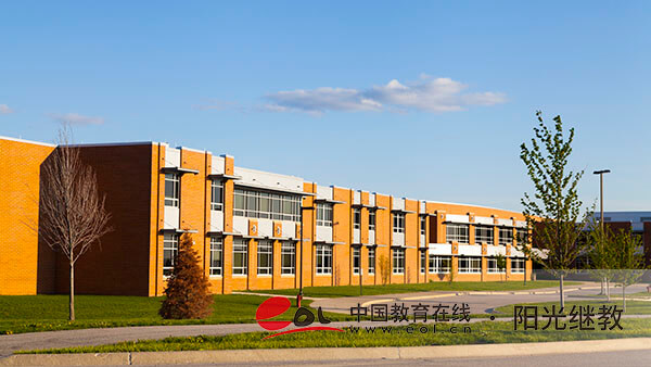 自考都有哪些专业？如何选择？